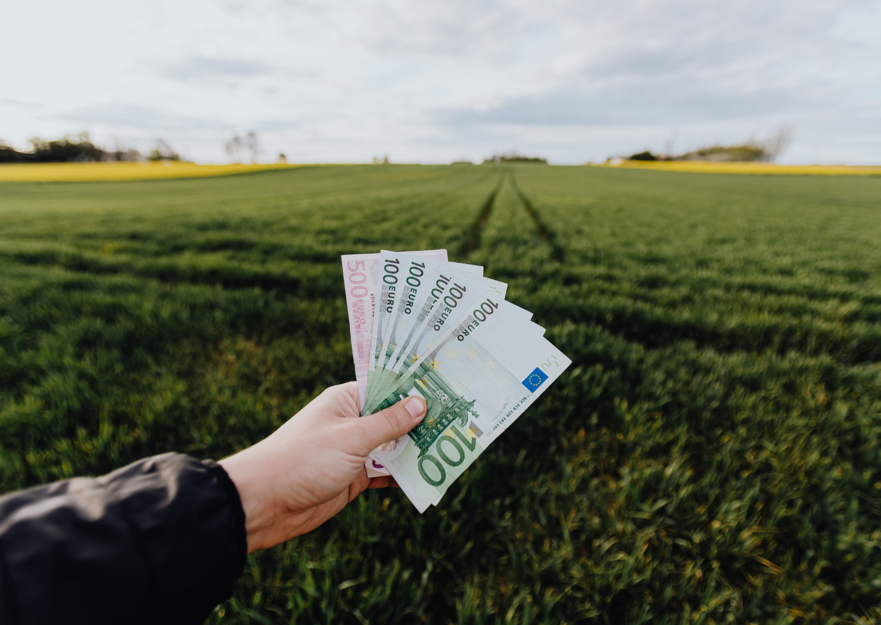 Why Europeans Pay Cash for Everything and Think American Credit Card Culture Is Insane 1 Europeans pay cash 5