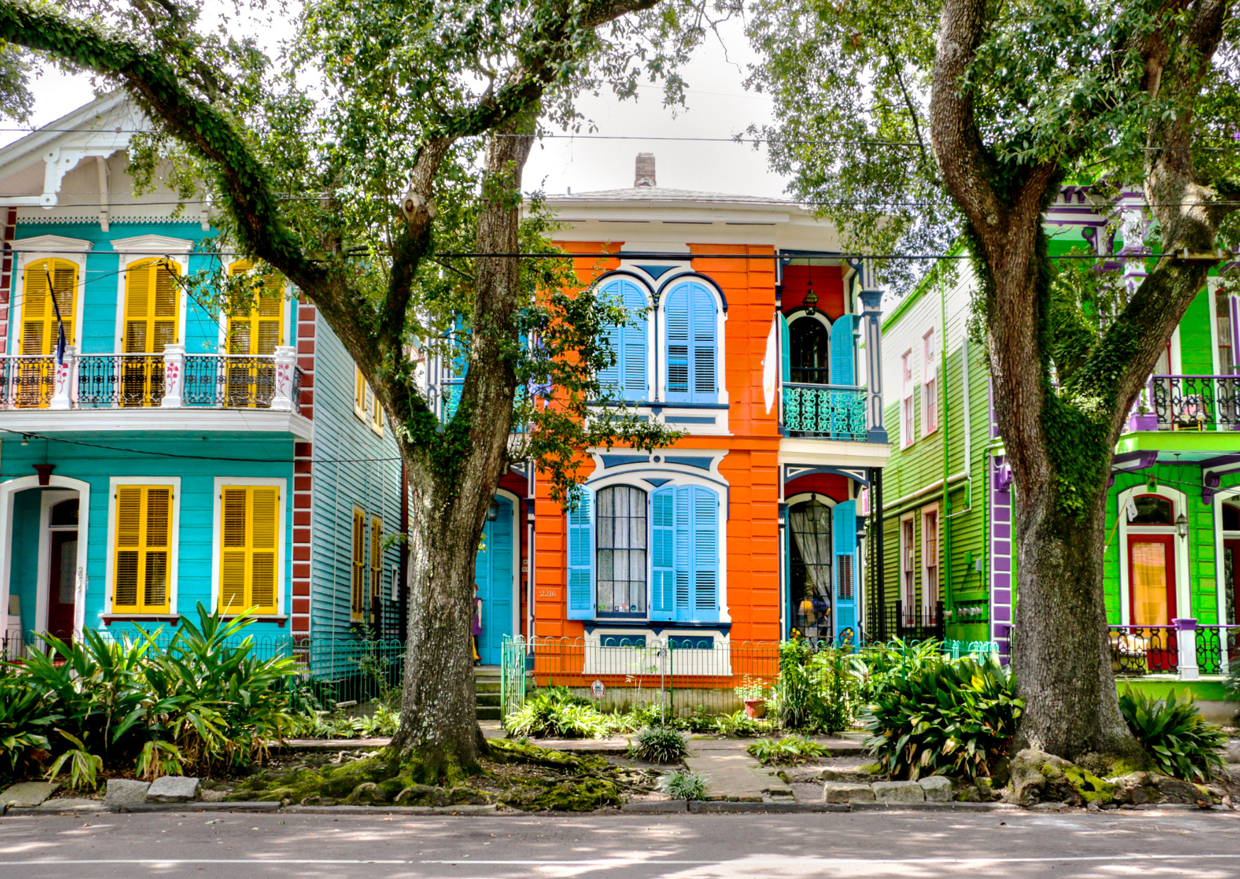 The New Orleans Culture That French People Find “Embarrassingly Fake” 3 New Orleans 4