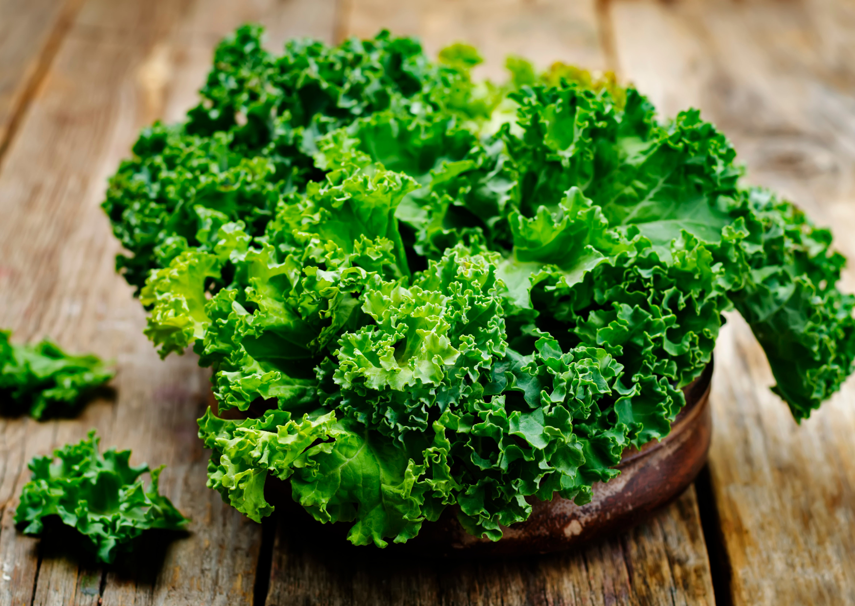 Portuguese Winter Produce 2