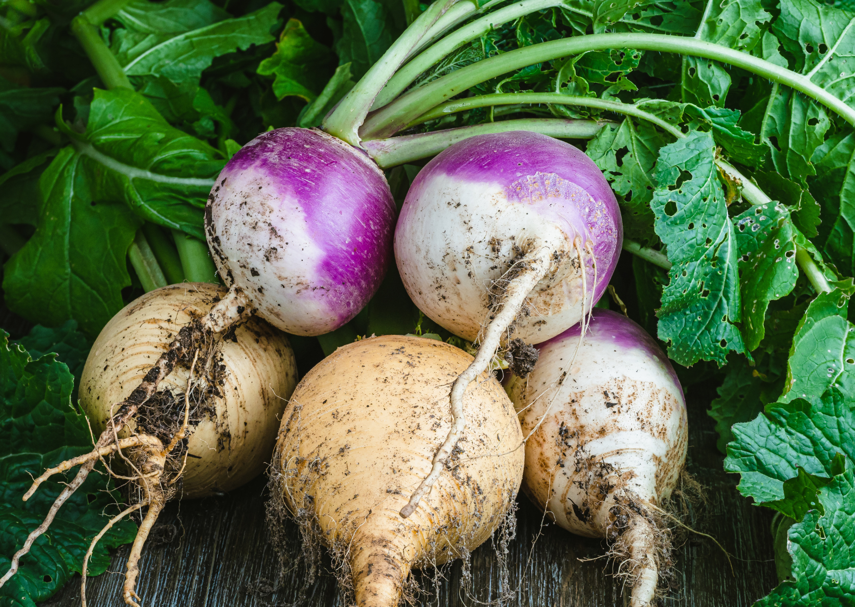 Portuguese Winter Produce 3