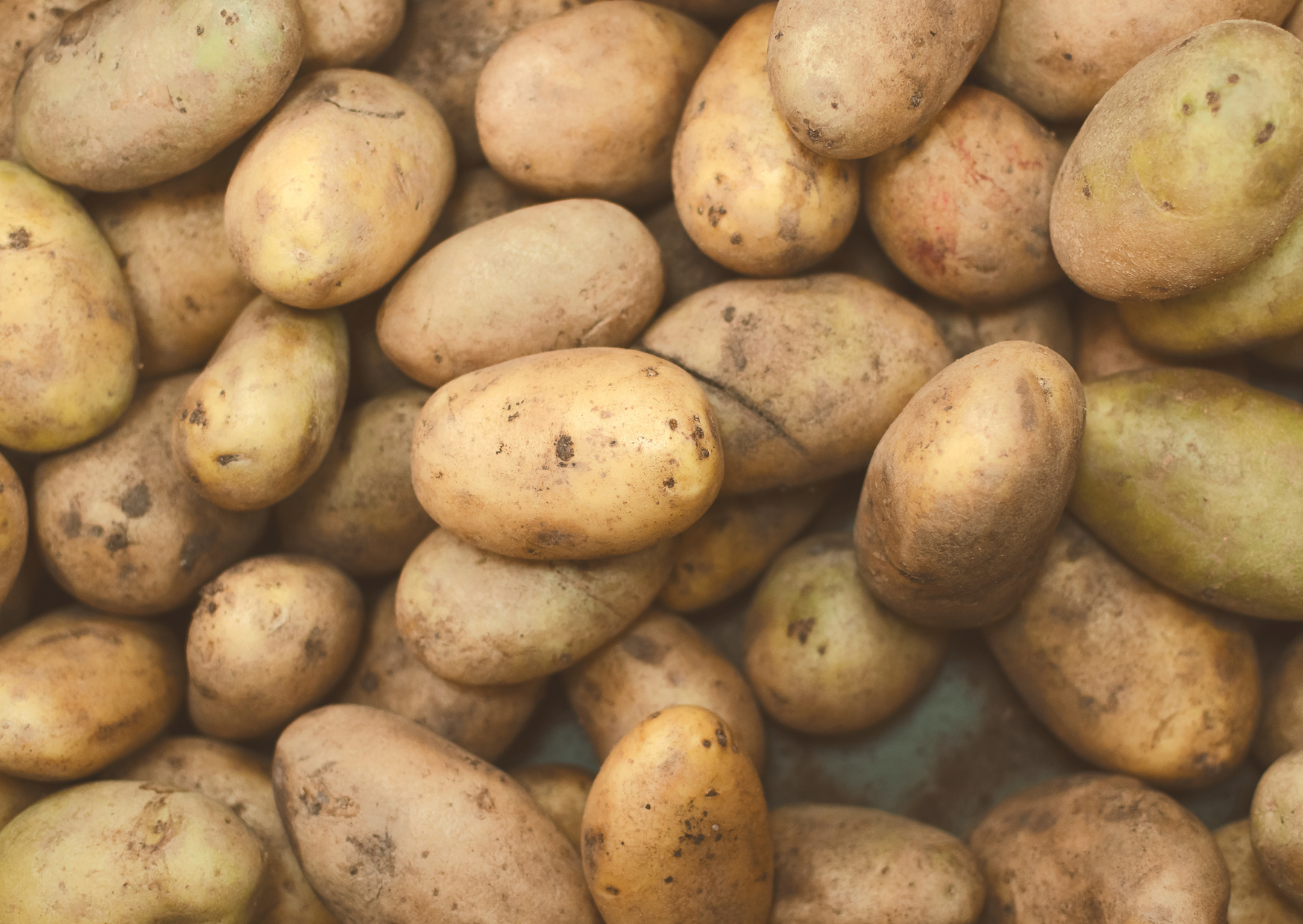 Portuguese Winter Produce 4