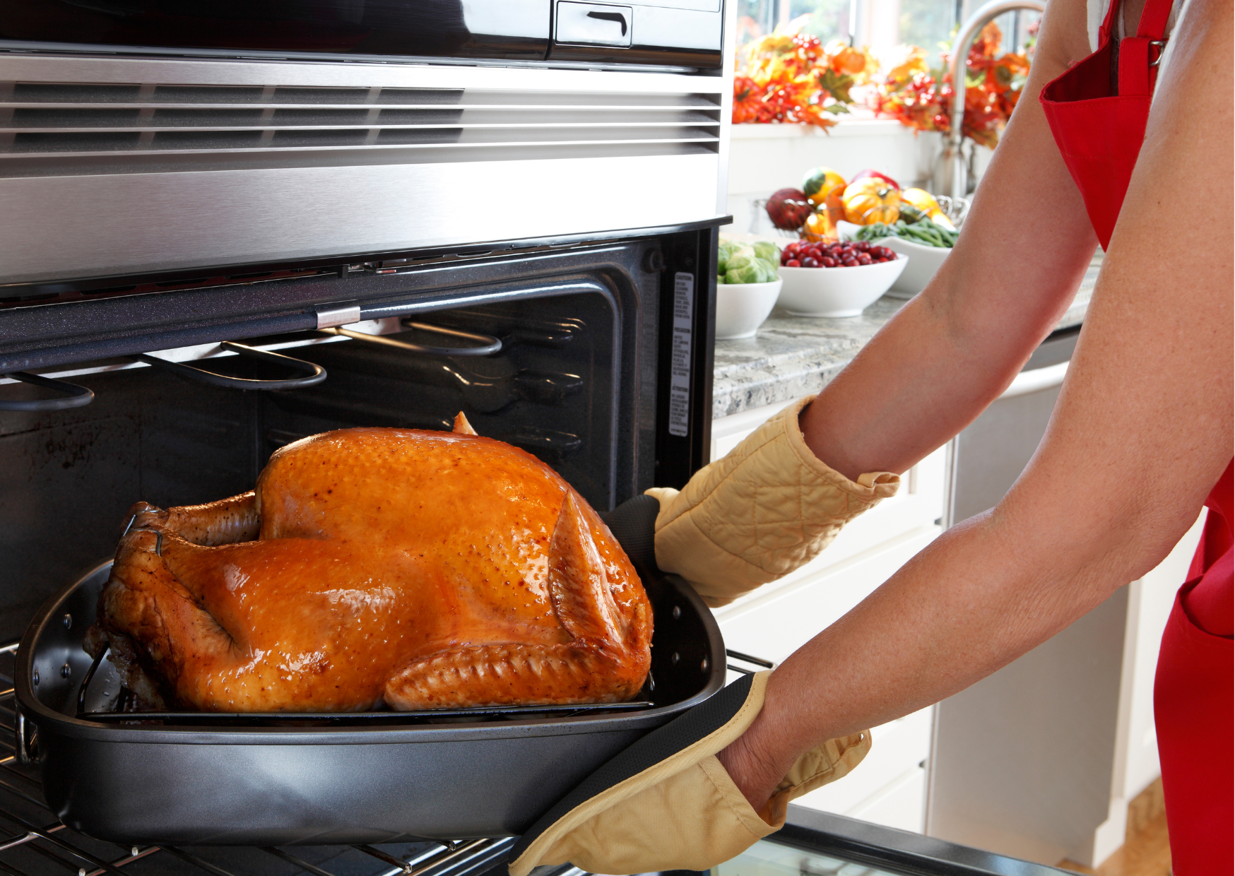 The €12 Spanish Turkey That Tastes Better Than Your $89 Butterball 2 Spanish Turkey 4