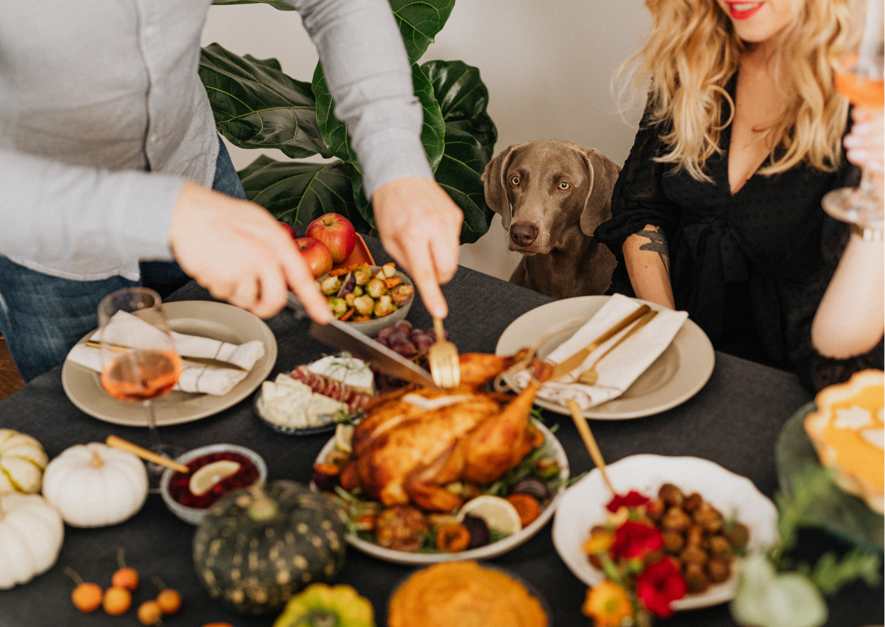 Thanksgiving celebration 3