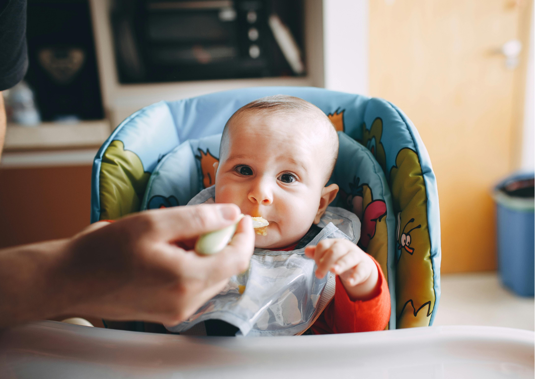 The American Baby Food Ingredients That Count as “Child Abuse” in France 1 american baby food 5