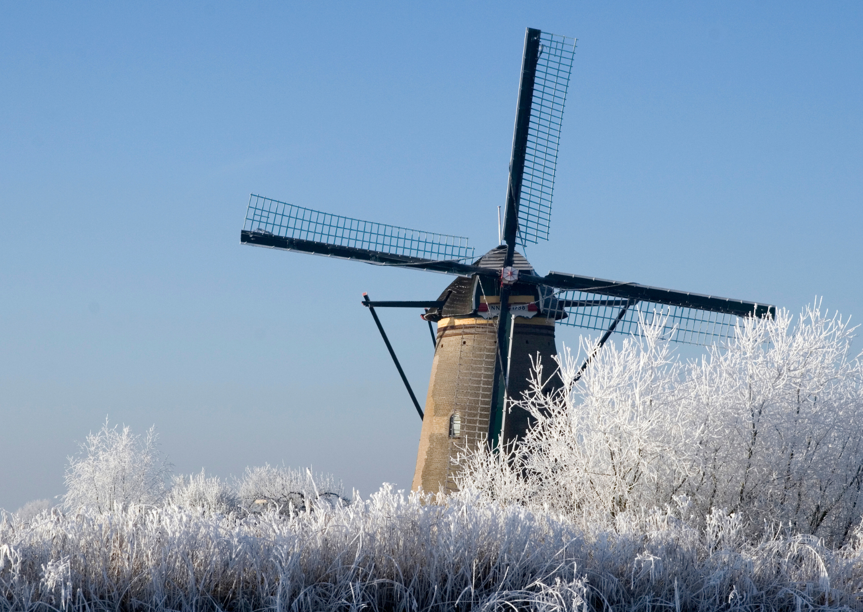 Why 81% of Chicago Families Can’t Survive Dutch Winters 4 dutch winters 2