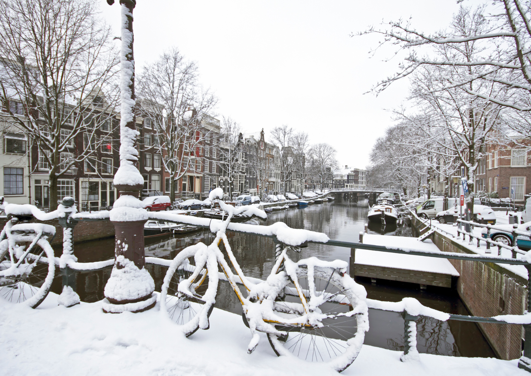 Why 81% of Chicago Families Can’t Survive Dutch Winters 5 dutch winters 3