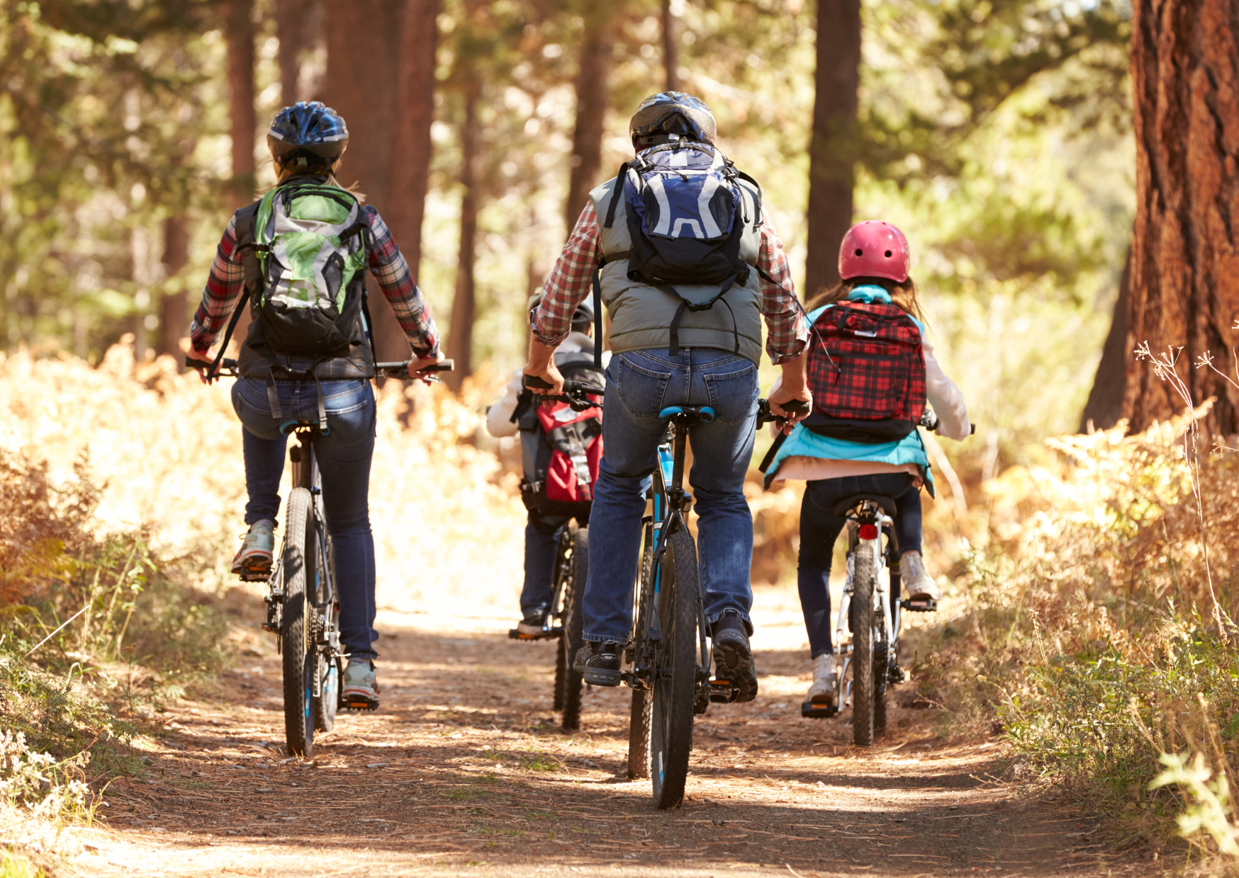 Why German 70-Year-Olds Bike 20 Miles While Americans Can’t Walk to the Mailbox 6 germans biking 2