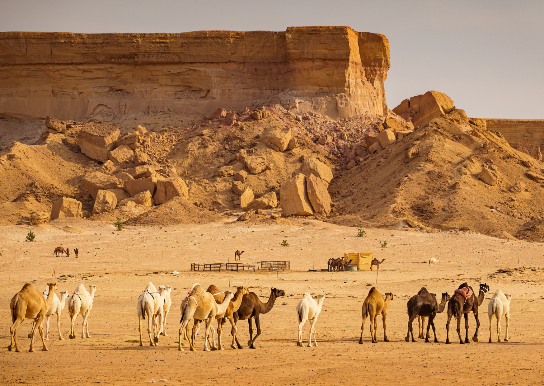 resident income Saudi Arabia