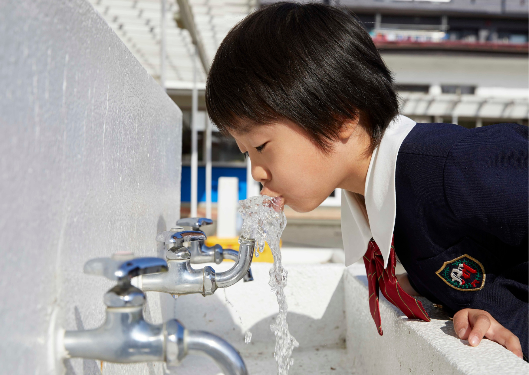 The EU Water Filtration Requirements And Why People Drink Tap Water 2 water