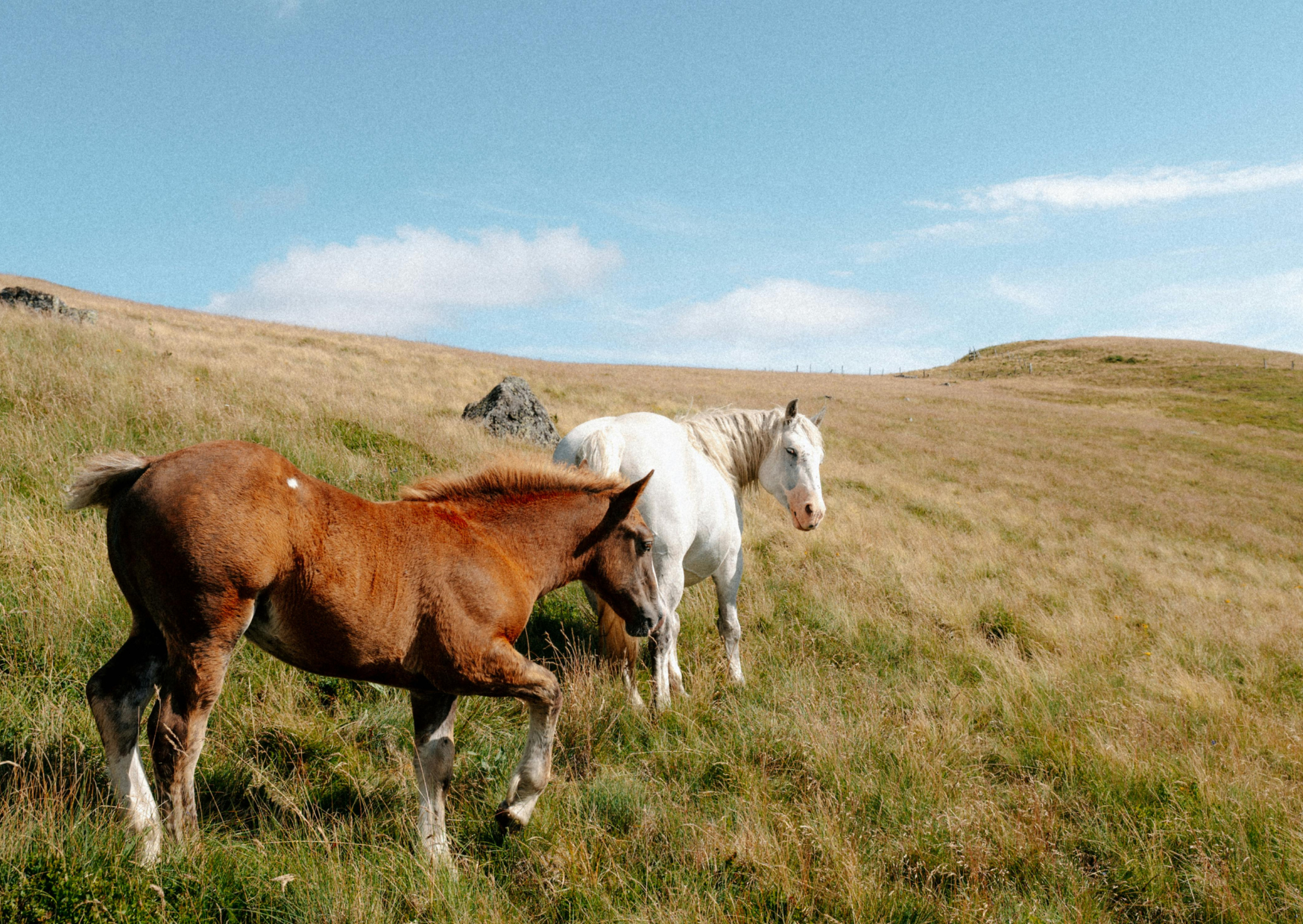 The French Villages Americans Drive Past That Are Worth the Stop 1 France Tournon sur Rhone Rhone Valley