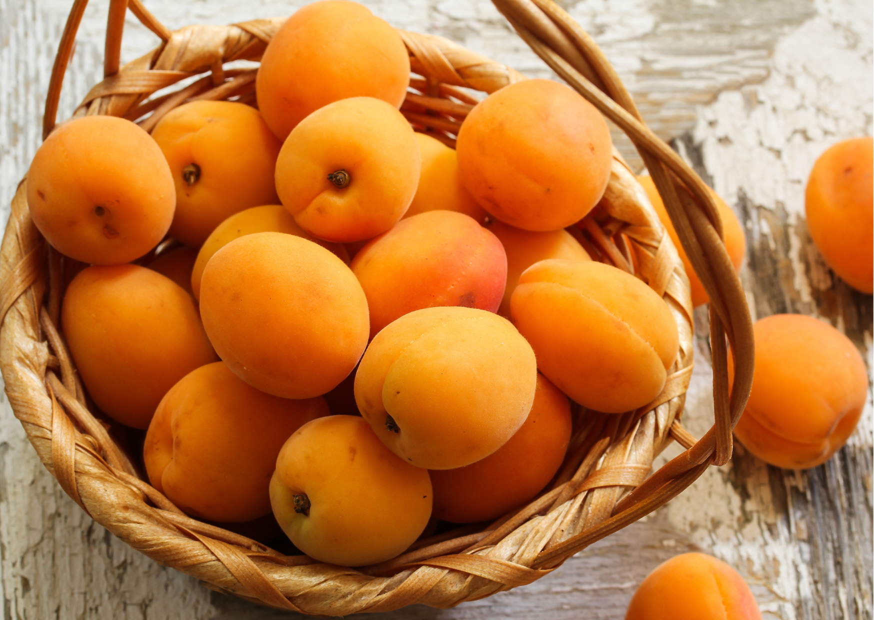 I Followed the Italian Rule of Eating Seasonally for 60 Days - Spent Less, Felt Better, Lost 10 Pounds 4 Italian seasonal food