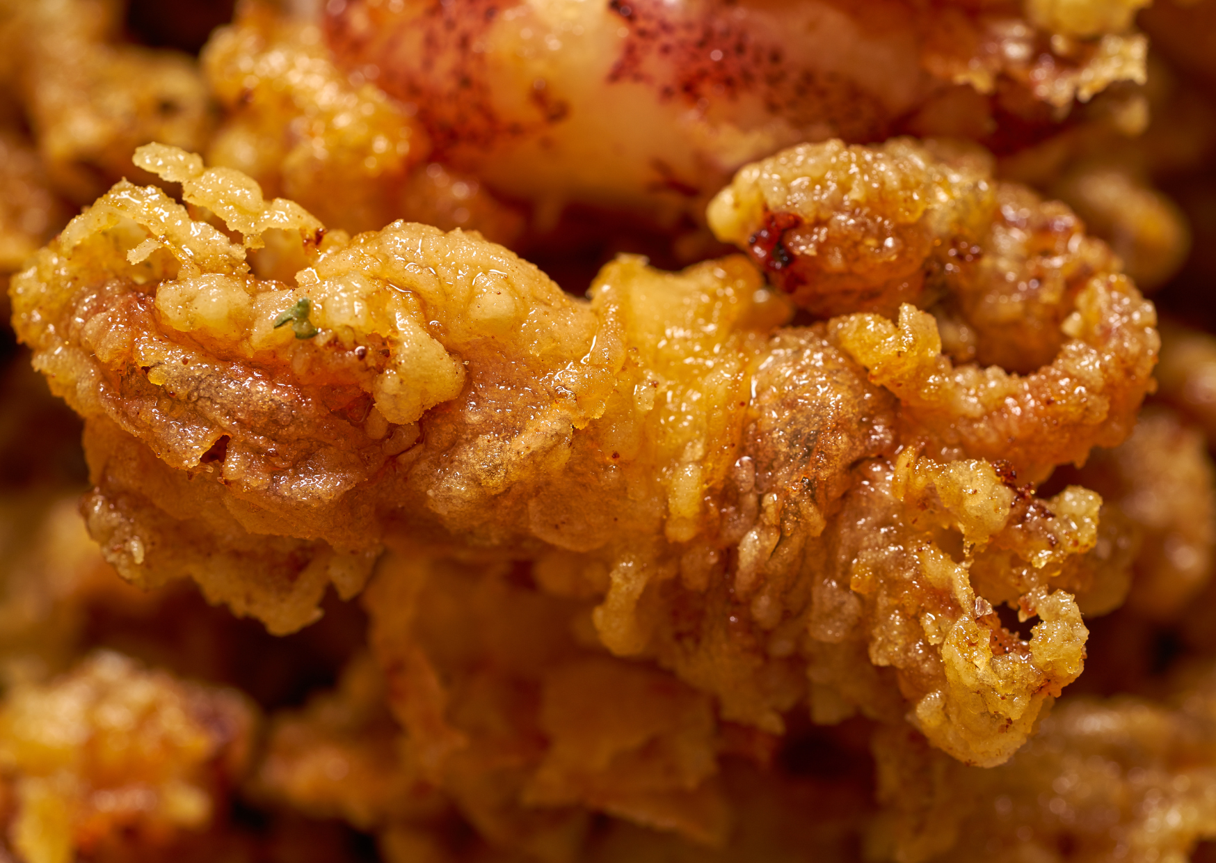 Spanish Recipe Puntilla 3