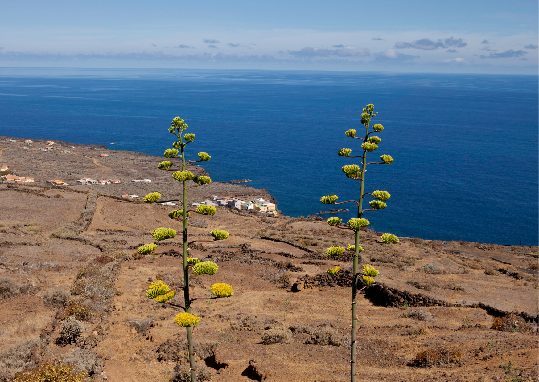 El Hierro 3