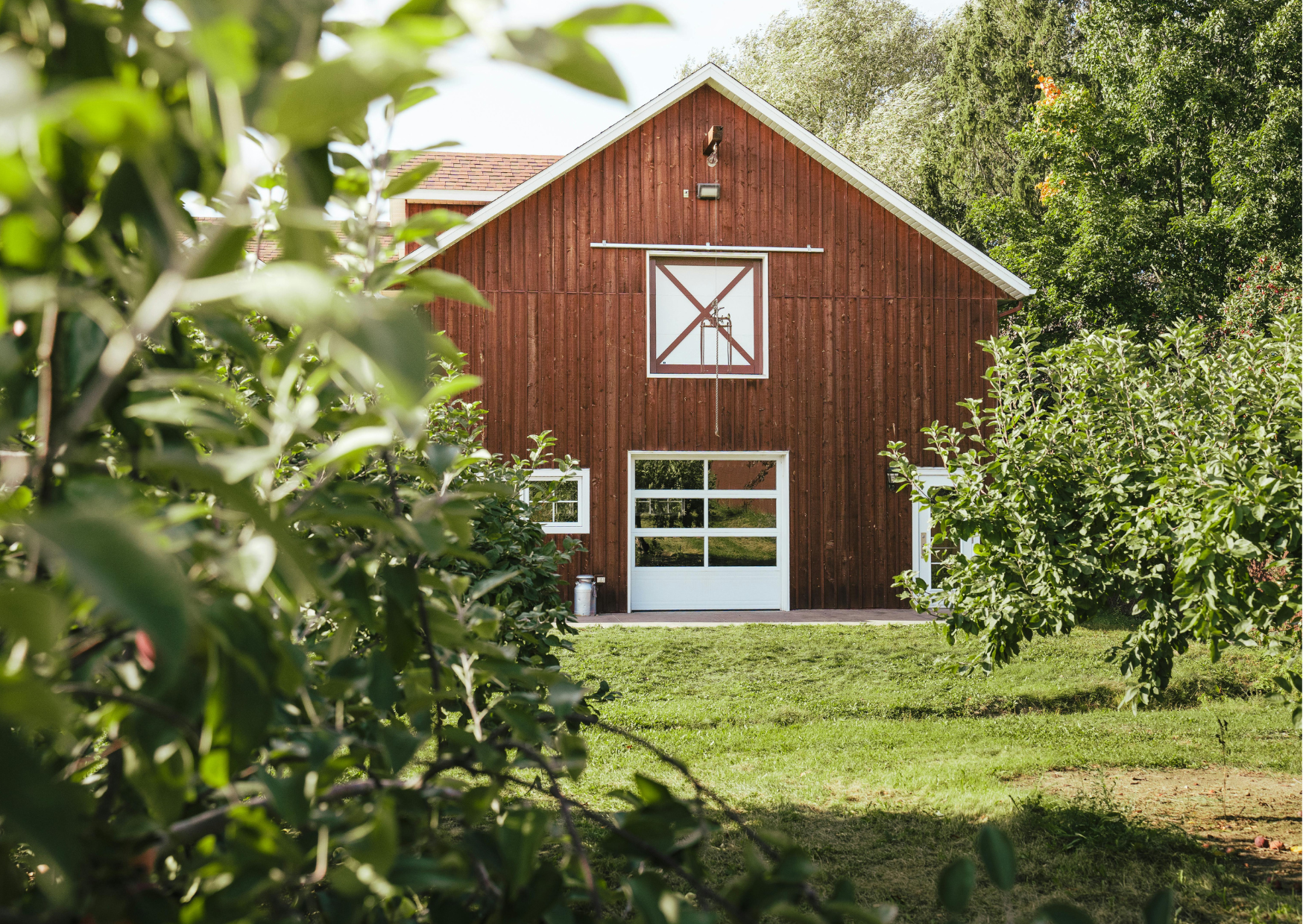 They Renovated a €40,000 Portuguese Farmhouse And The Final Cost: €156,000 4 Portugal 4