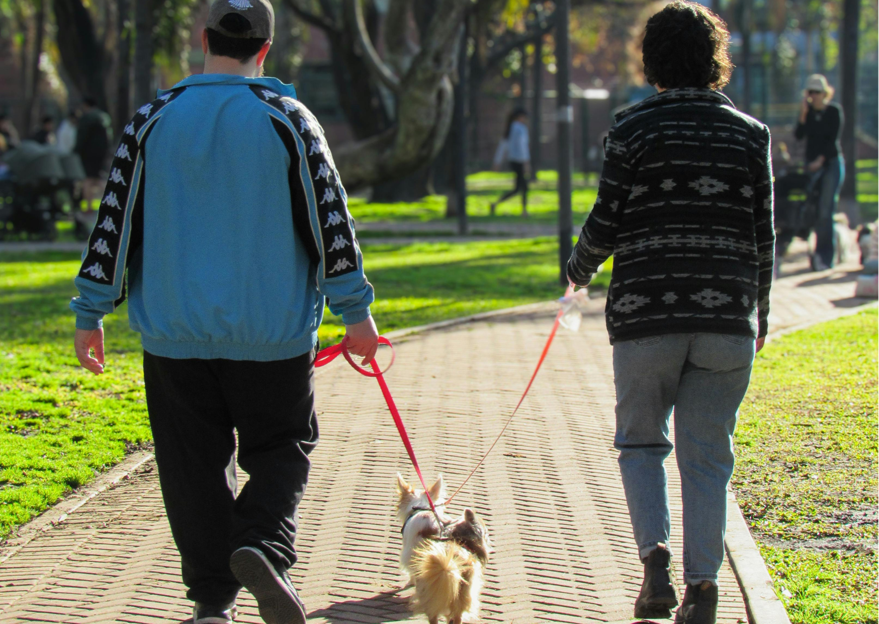 8 Sleep Habits Spanish People Protect That Americans Sacrifice for Productivity 6 Spanish culture 6