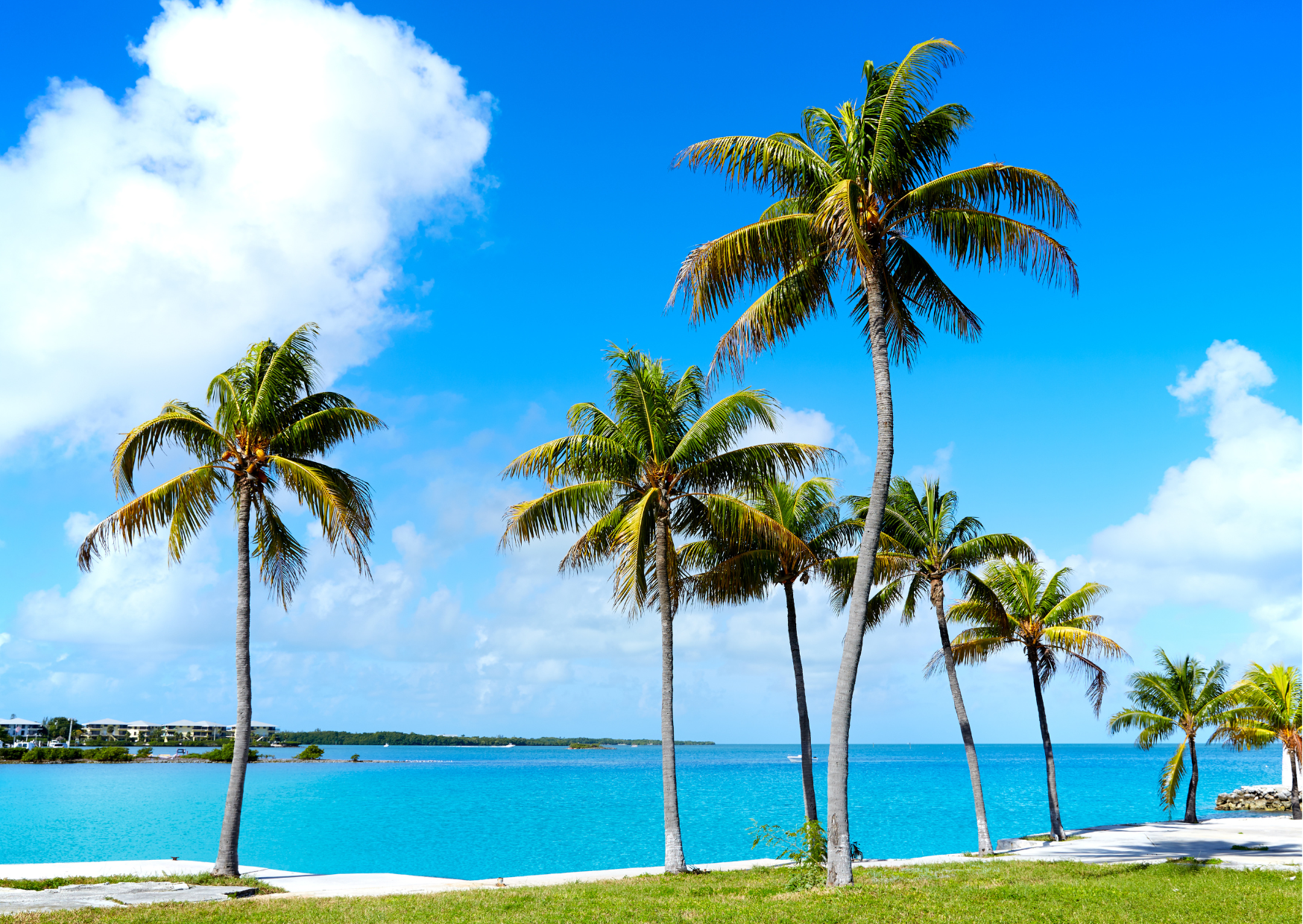 Why 58% of Americans Who Retire to the Beach Return to the Mountains Within 18 Months 4 living in the beach 2