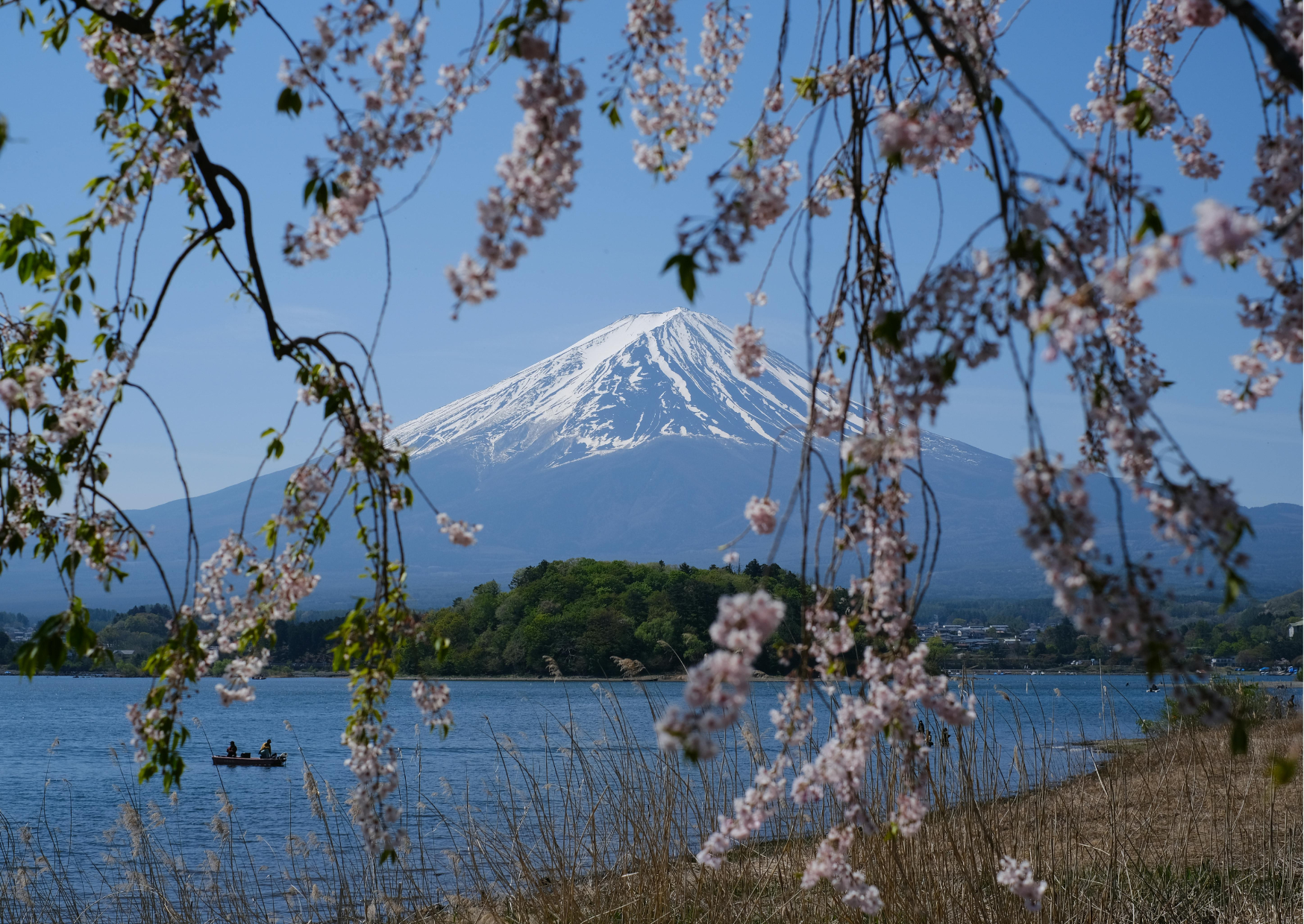 10 Countries Americans Are Moving to in 2026 That Weren’t on Any List in 2024 5 moving Japan