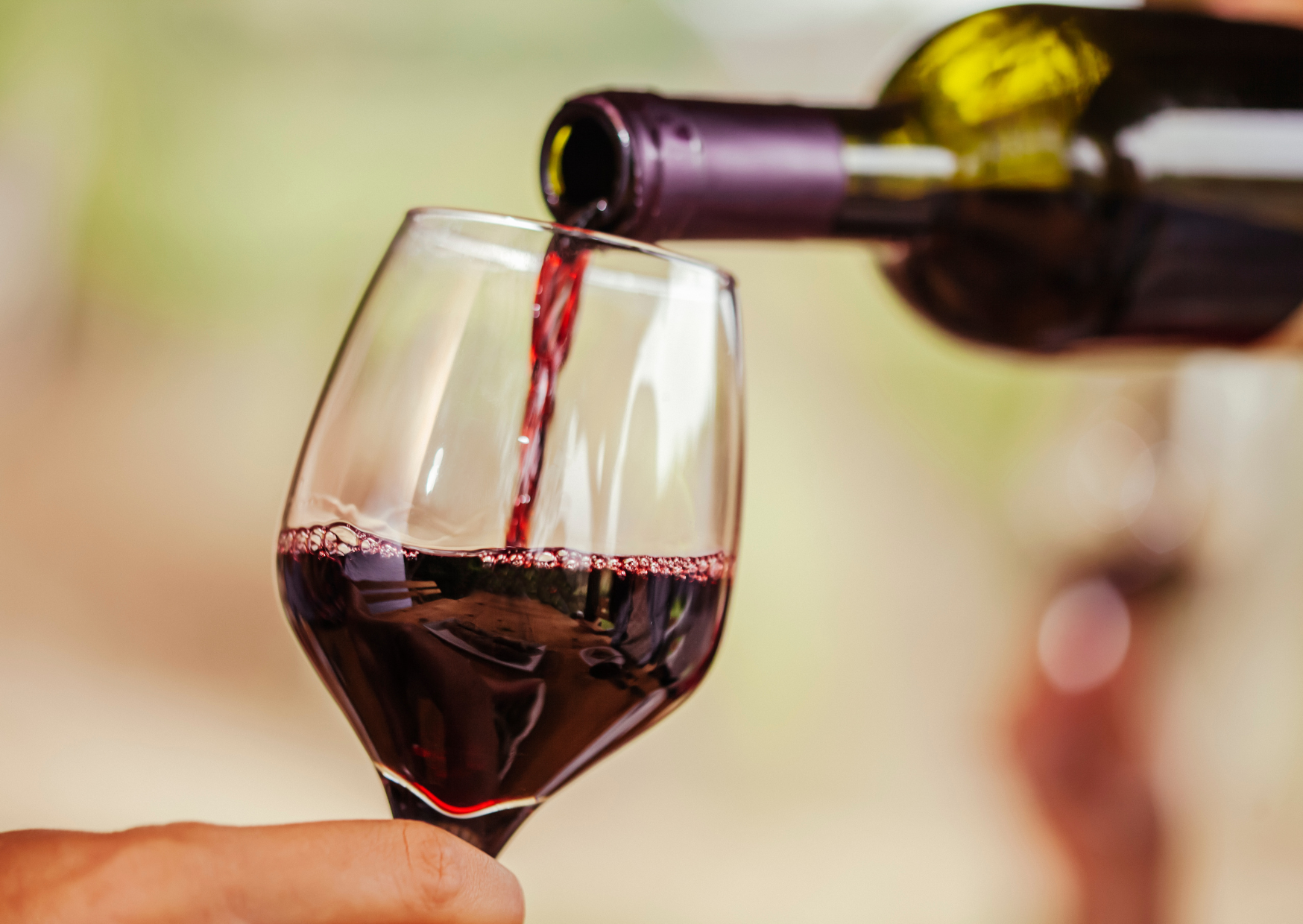 I Drank Wine Like a French Person for 45 Days: Bloodwork Improved 4 Drinking French wine 3