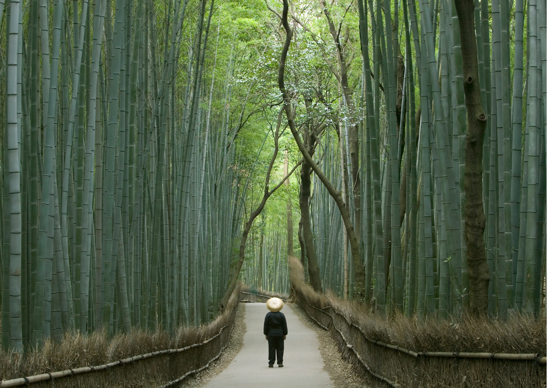 We Budgeted $5,000 for Japan. Spent $8,400: Here’s Why 3 Japan budget 5