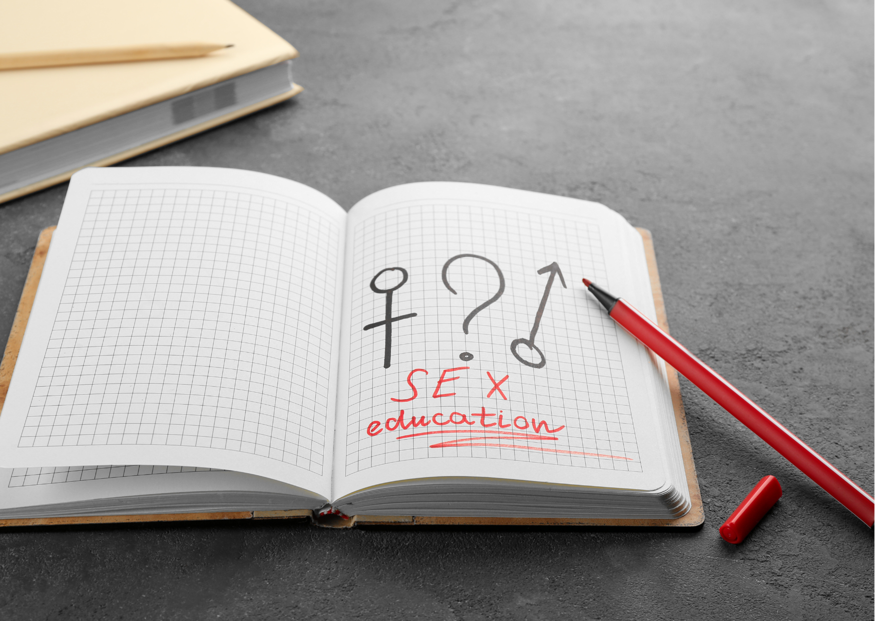 The Sex Education European Adults Got That Americans Never Did 4 sex education 4